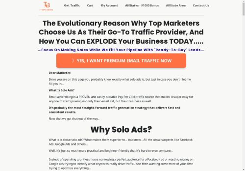 trafficblade.com capture - 2025-04-24 17:46:13