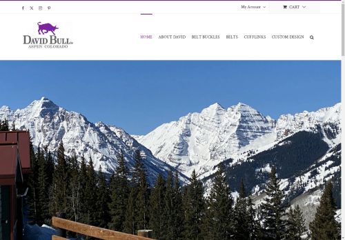 davidbullinc.com capture - 2025-04-24 21:45:05