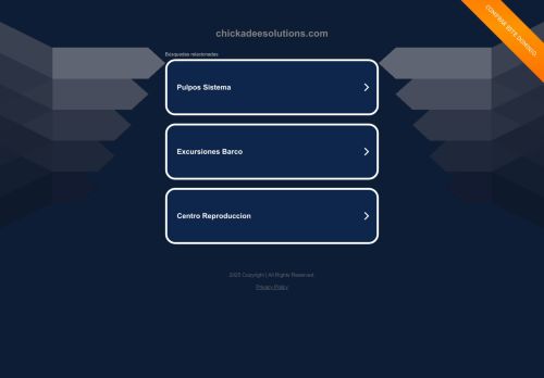 Chickadee Solutions capture - 2025-04-24 23:45:55