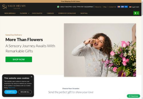 sallyhelmy.com capture - 2025-04-25 06:51:10