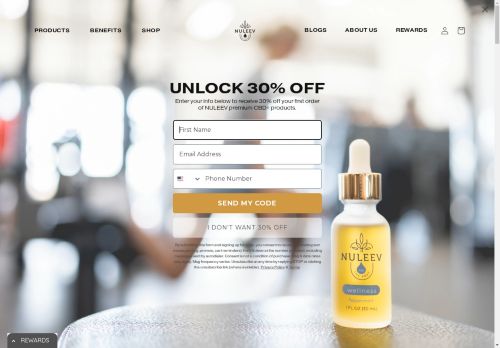 nuleev.com capture - 2025-04-25 07:03:37