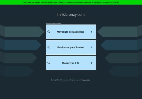 hellobronzy.com capture - 2025-04-25 08:25:55