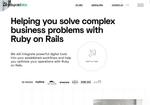 rubyroid labs capture - 2025-04-25 11:13:06