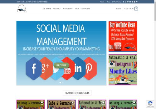 buyyoutubeviews.website capture - 2025-04-25 14:18:39