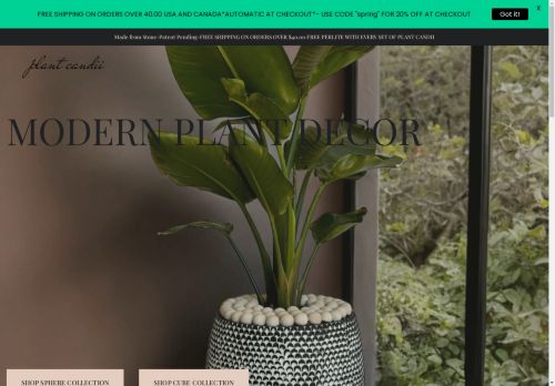 Plant Candii capture - 2025-04-25 15:06:45