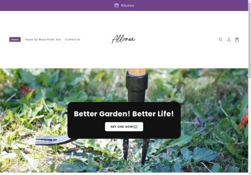 Allonex capture - 2025-04-25 15:08:54