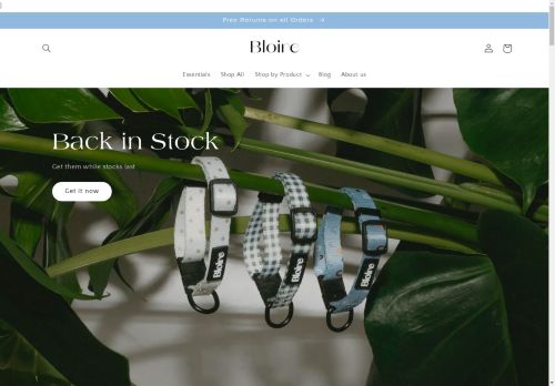 Bloire capture - 2025-04-25 15:14:52