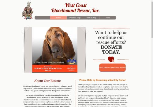 westcoastbloodhoundrescue.org capture - 2025-04-25 18:32:38