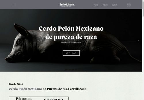 lindolinaje.com capture - 2025-04-25 19:25:59