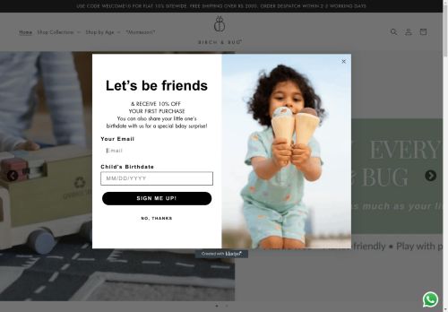 birchandbug.com capture - 2025-04-26 01:27:42