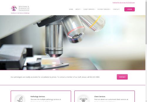 wpalabs.com capture - 2025-04-26 04:42:29