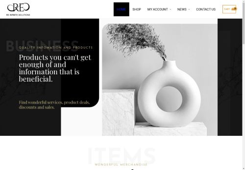 reinfinitesolutions.com capture - 2025-04-26 07:50:57