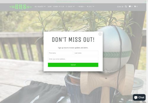 bladerunnerssystems.com capture - 2025-04-26 10:44:32