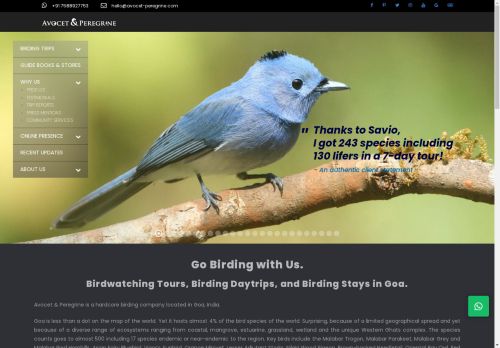 avocet-peregrine.com capture - 2025-04-26 13:07:07