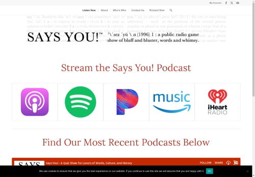 saysyou.net capture - 2025-04-26 17:20:24