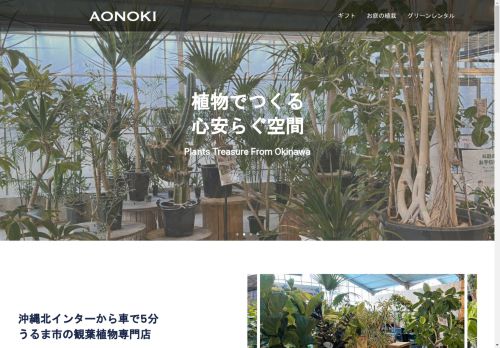 aonoki.okinawa capture - 2025-04-27 00:26:31