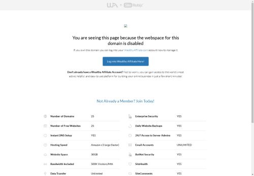 davespromarketing.solutions capture - 2025-04-27 01:45:44