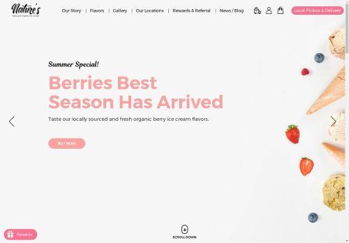 naturesorganicicecream.com capture - 2025-04-27 09:41:04