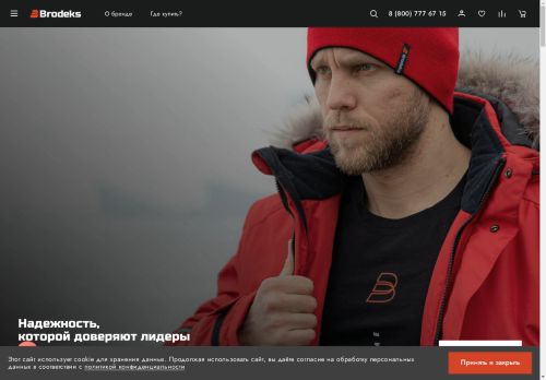 brodeks.ru capture - 2025-04-27 22:46:20