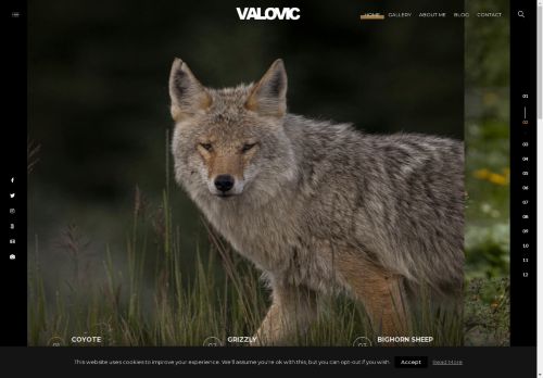 vladimirvalovic.com capture - 2025-04-28 00:18:05