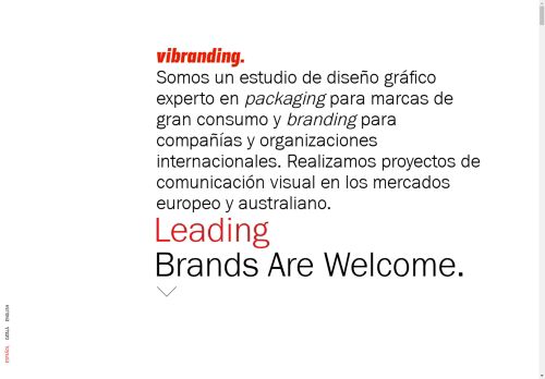 vibranding.com capture - 2025-04-28 00:41:57