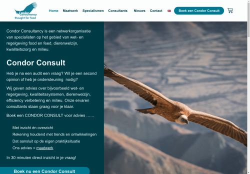 condor-consultancy.com capture - 2025-04-28 01:24:00