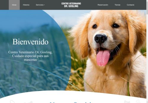 tumascotafeliz.com capture - 2025-04-28 02:04:38