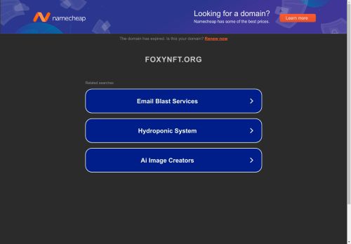 Foxy Equilibrium capture - 2025-04-28 11:01:57
