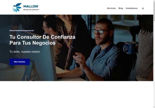 mallowmanagement.com capture - 2025-04-28 13:01:26