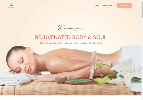 atpfactory.com capture - 2025-04-28 18:14:50
