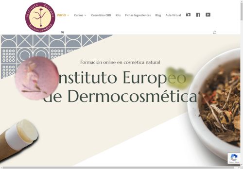 institutodermocosmetica.com capture - 2025-04-28 19:03:55