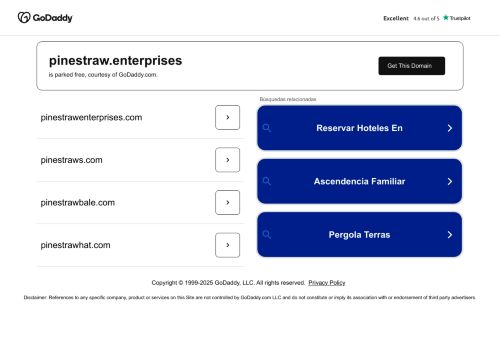 Pinestraw Enterprises capture - 2025-04-29 03:37:06