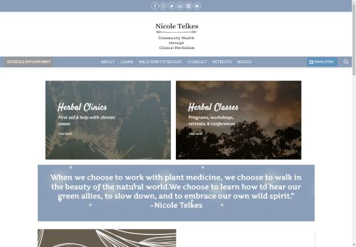 nicoletelkes.com capture - 2025-04-29 15:03:15