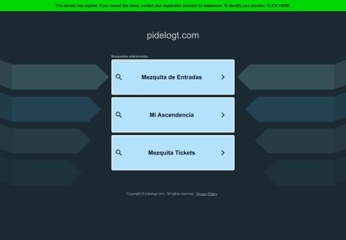 pidelogt.com capture - 2025-04-29 16:06:20