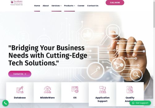 techberryinfotech.com capture - 2025-04-29 19:51:35