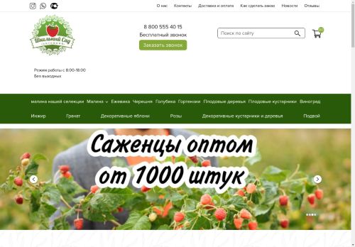 xn--80aindfmf1a1d8aj.xn--p1ai capture - 2025-04-29 21:51:21