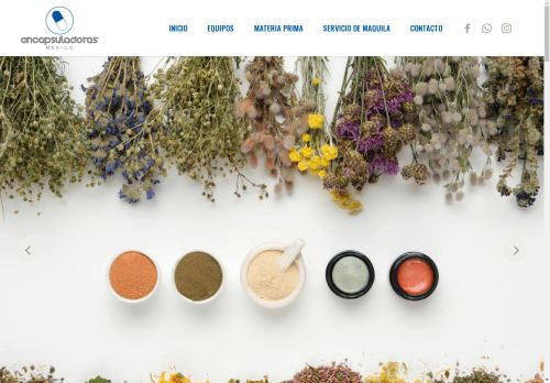 encapsuladoras.com capture - 2025-04-30 01:22:57