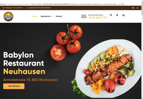 babylon-r.ch capture - 2025-04-30 03:01:07