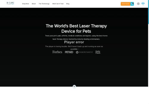 bcurelaservet.com capture - 2025-04-30 05:21:14