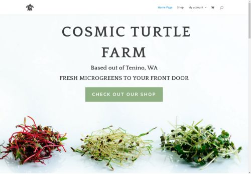 cosmicturtlefarm.com capture - 2025-04-30 18:22:07