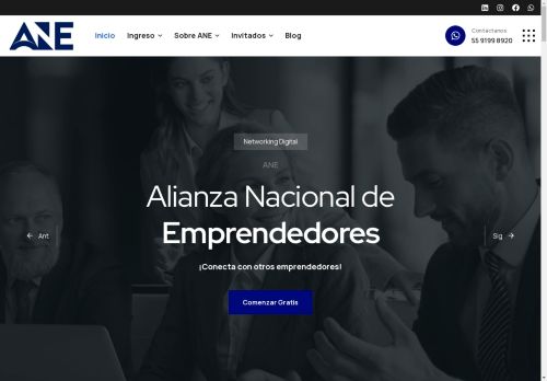 ane.business capture - 2025-04-30 20:36:53