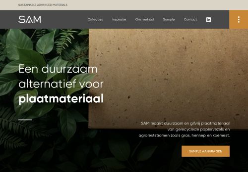 sampanels.com capture - 2025-05-01 00:26:08