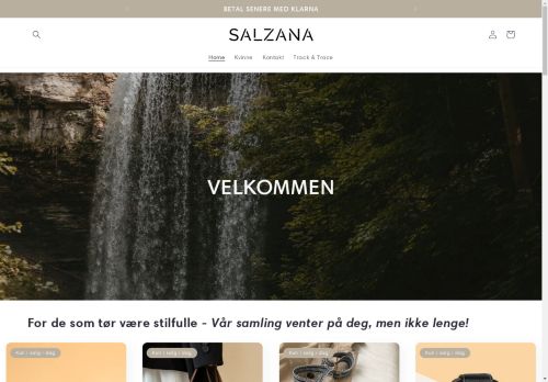 salzana.com capture - 2025-05-01 00:37:05