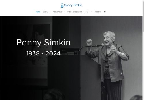 pennysimkin.com capture - 2025-05-01 01:58:48