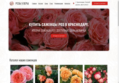 xn-----flcmg5bngx2fg.xn--p1ai capture - 2025-05-01 02:05:08