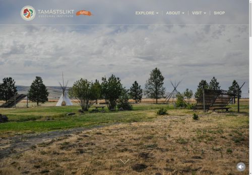 tamastslikt capture - 2025-05-01 04:01:12