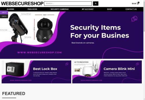 websecureshop.com capture - 2025-05-01 20:45:59