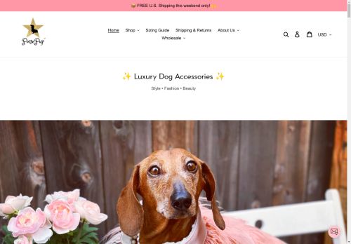 poisepup.com capture - 2025-05-01 20:50:22