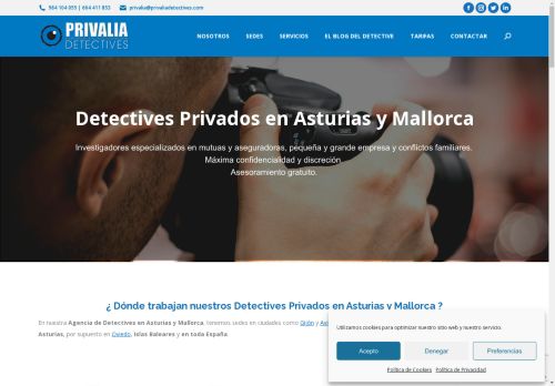 privaliadetectives.com capture - 2025-05-01 21:27:45