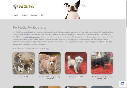 petcitypets.com capture - 2025-05-02 00:48:38